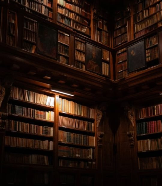 Biblioteca comprimida