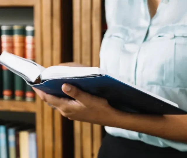 Servicios, educación